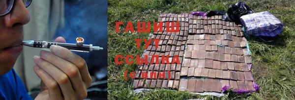 гидра Балахна