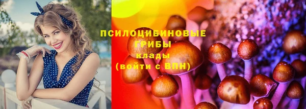 прущая мука Баксан