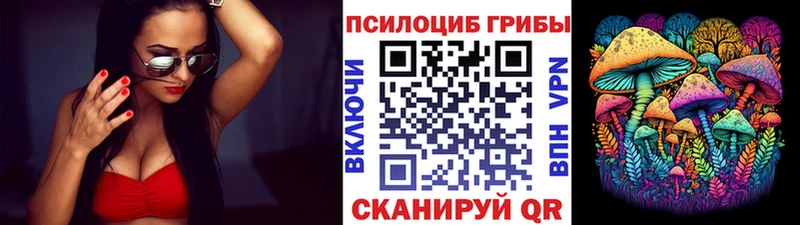 цены   Чулым  Галлюциногенные грибы Psilocybine cubensis 